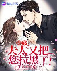 夫人又把你拉黑了免费