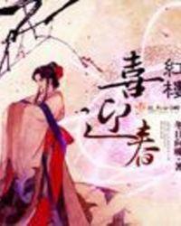 红楼喜迎春txt
