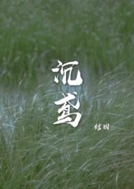 沉鸢赵棠鸢