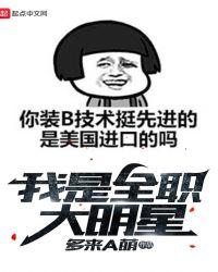 全职大明星