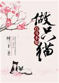 宫斗不如做只猫全文免费阅读