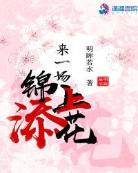 锦上添花的意思什么