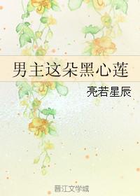 男主这朵黑心莲类似女尊文