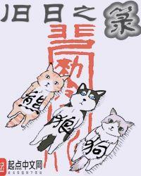 旧日之箓讲了什么