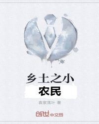 乡土之小农民系统