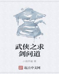 武侠之剑道传承