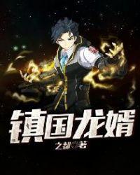 镇国龙婿剧情介绍