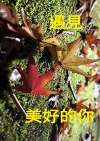 遇见美好的你图片