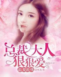总裁大人的追妻之旅