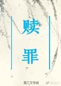 赎罪这本书
