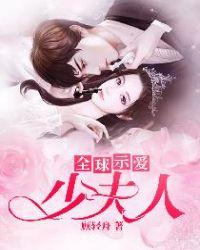 全球示爱少夫人全文免费阅读