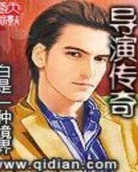 导演传奇全本网