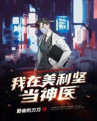 我在美利坚当总统