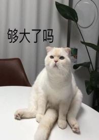 搅乱一池春水