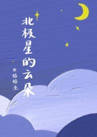 北极星像什么挂在天空