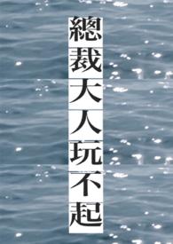 总裁大人玩不起沉沉