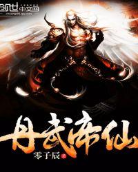 丹武帝尊等级划分 简介