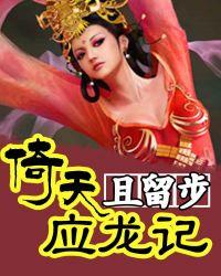 高圆圆版的倚天应龙记