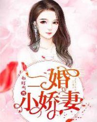 二婚小娇妻全集完整版