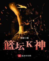 篮坛k神TXT八零