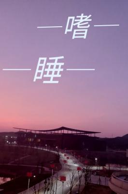 嗜睡怎么办