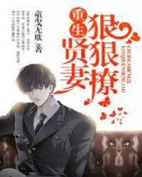 重生贤良妻