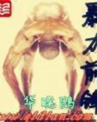 nba暴力美学大前锋