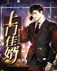 上门佳婿电视剧