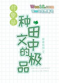 对象是dj