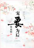 宠妻为后免费阅读全文寒木枝