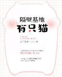 隔壁基地有只猫百度