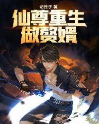 仙尊夺舍重生成赘婿