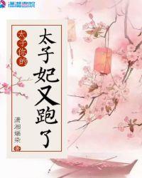 太子殿下你的太子妃又跑了