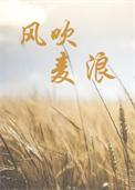 风吹麦浪烟花从哪点燃
