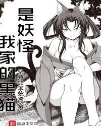 我家的大黑猫