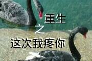 重生之这次我疼你by