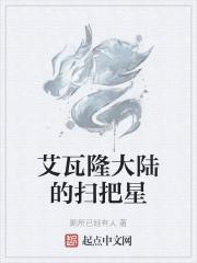 阿瓦隆 宝具