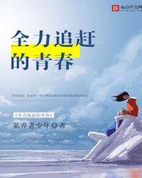 全力以赴追求自己的梦想