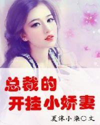 总裁的挂名妻