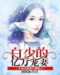 白少的闪婚甜妻