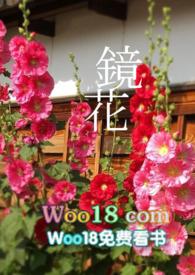 镜花百合ABO无弹窗笔趣阁