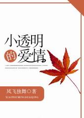 小透明的爱情在线阅读
