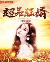 超品狂婿txt