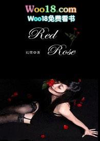 red rose and white rose