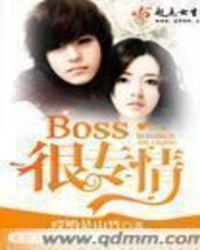 boss的专宠