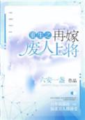 重生之再嫁末路上将晋江