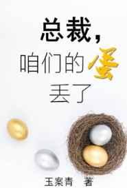 总裁我们闪婚吧 无弹窗