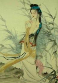 玉萝娇 免费