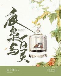 夜枭的cv
