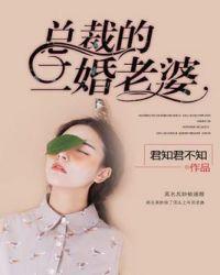 总裁的二婚罪妻免费阅读